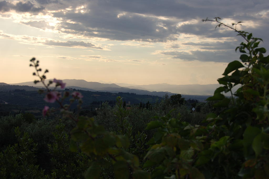 Podere Scaluccia อิมปรูเนตา ภายนอก รูปภาพ